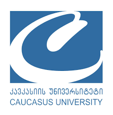 Partner University